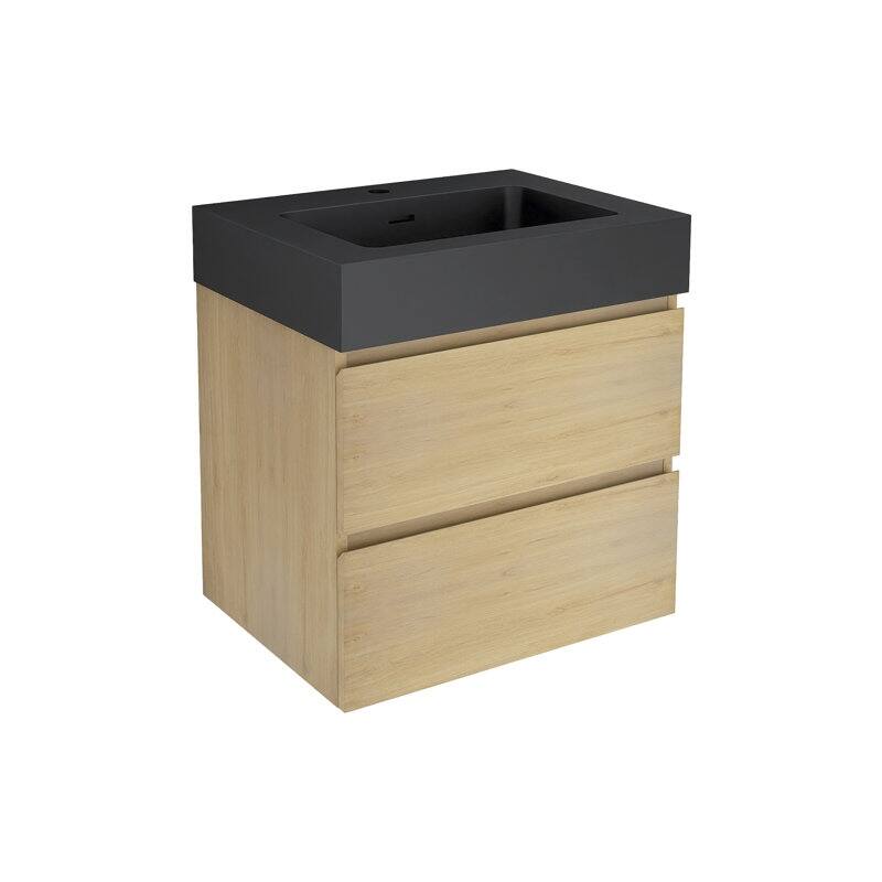 24 in. W x 18 in. D x 25 in. H Single Sink Wall Mounted Bath Vanity for Modern Bathroom Black Sink Basin