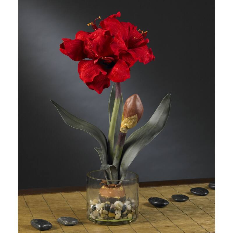 Silk Amaryllis Plant 20" Red Blooms in Vase - Home Decor Accent with Rocks & Water - Realistic Artificial Flower Arrangement
