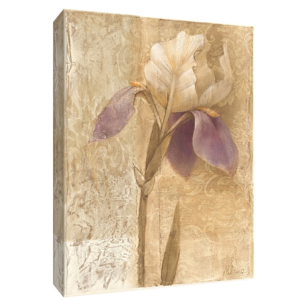 PTM Images 9-154635 PTM Canvas Collection 10" x 8" - "Brocade Iris" Giclee Irises Art Print on Canvas