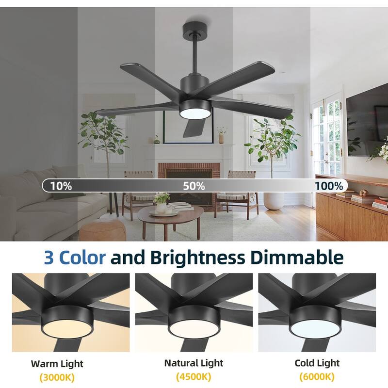 WINGBO 54" and 64" 5 ABS Blades DC Motor Indoor Ceiling Fan with Light & Remote