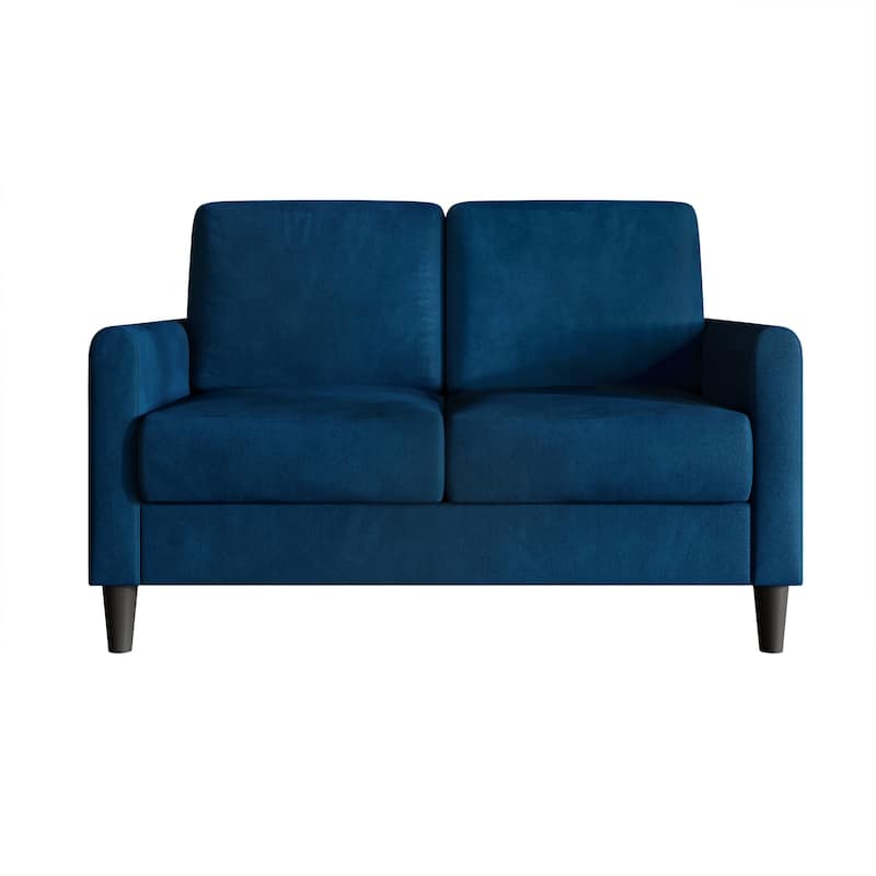Clayfell Goliad Velvet Arm Loveseat with Pocket Spring, Soft Cushions, Clean Lines Design