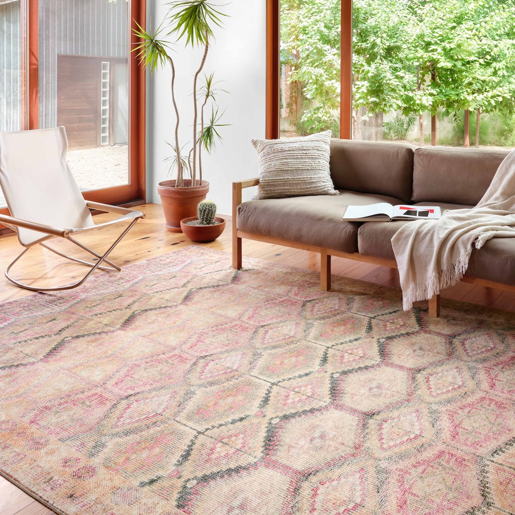 Alexander Home Isabelle Vintage Moroccan Area Rug