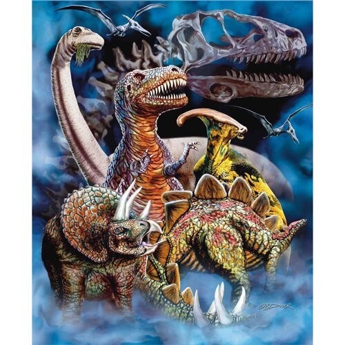Dinosaur mink outlet blanket