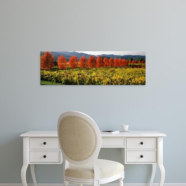Easy Art Prints Panoramic Images's 'Crop in a vineyard, Napa Valley, California, USA' Premium Canvas Art