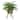 30-inch Artificial Phoenix Palm in Deco Basket Stand