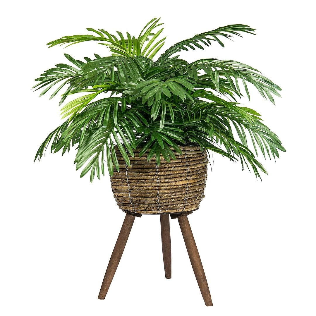 30-inch Artificial Phoenix Palm in Deco Basket Stand