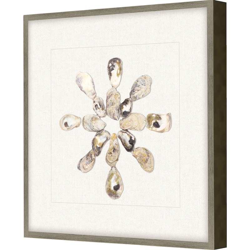 Oyster Shell I Framed Exclusive Mixed Media Under Glass - Multi-Color