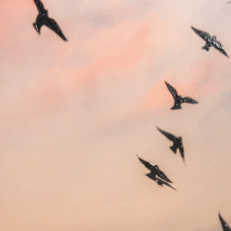 Evening Flight Framed Art Print