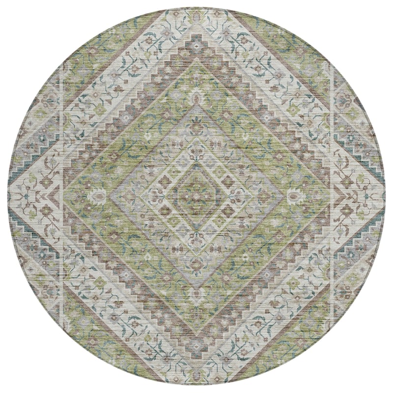 Machine Washable Indoor/Outdoor Traditional Ali Chantille Rug