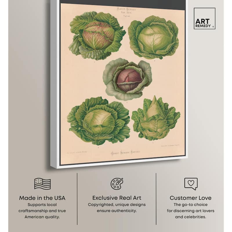 Cabbages by Benary 1876 Canvas by Art Remedy