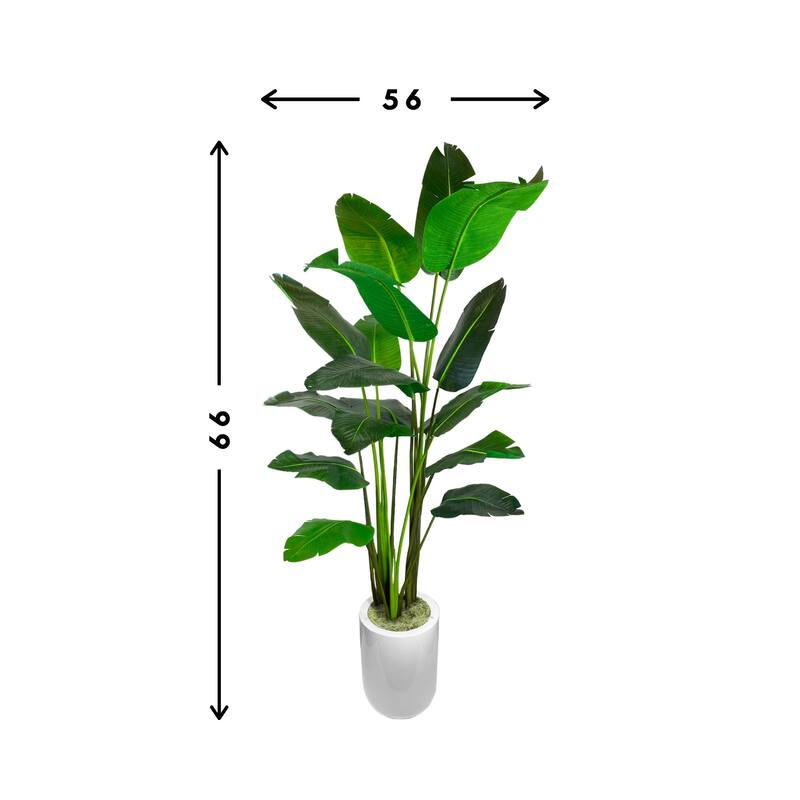 5.5 ft Bird of Paradise Tree in a Round Fiberstone Container - Green