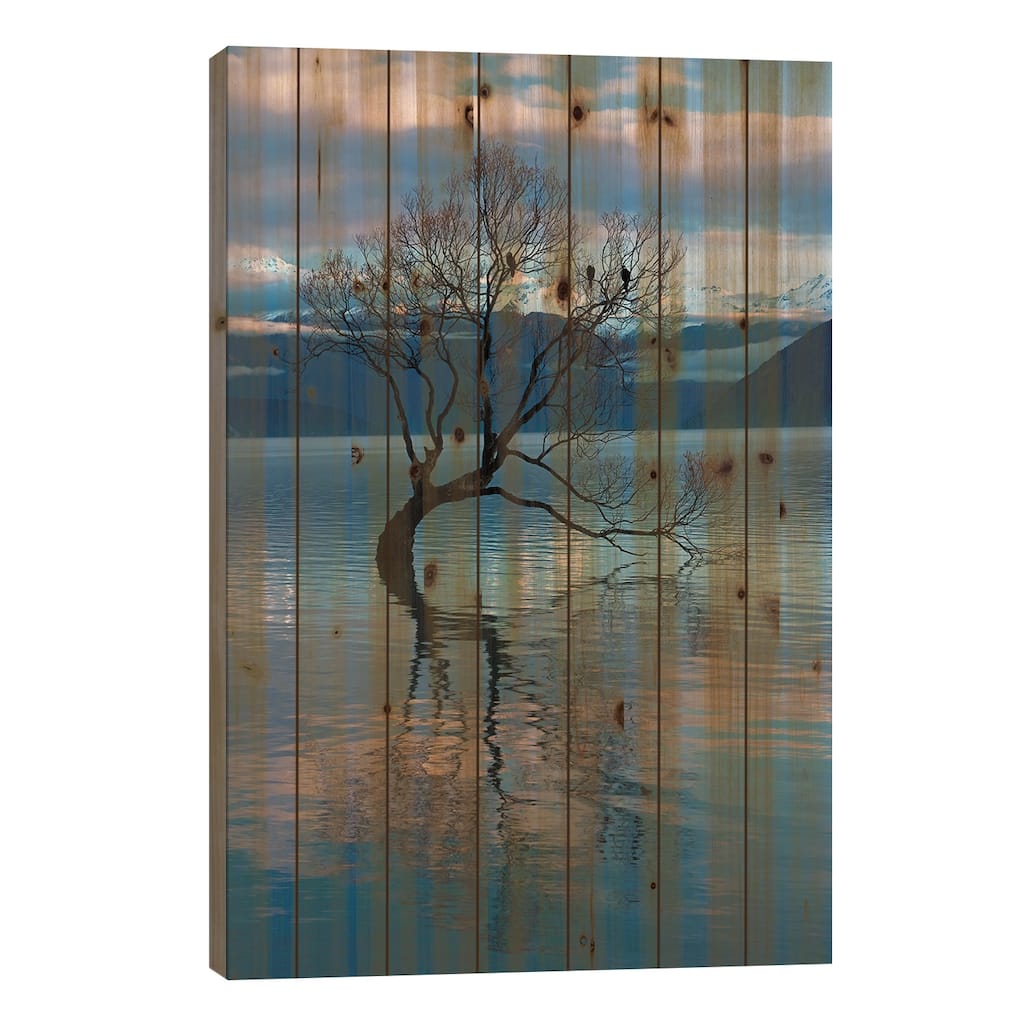 That Wanaka Tree reflected in Lake Wanaka, Otago, South Island, New Zealand Print On Wood by David Wall - Multi-Color