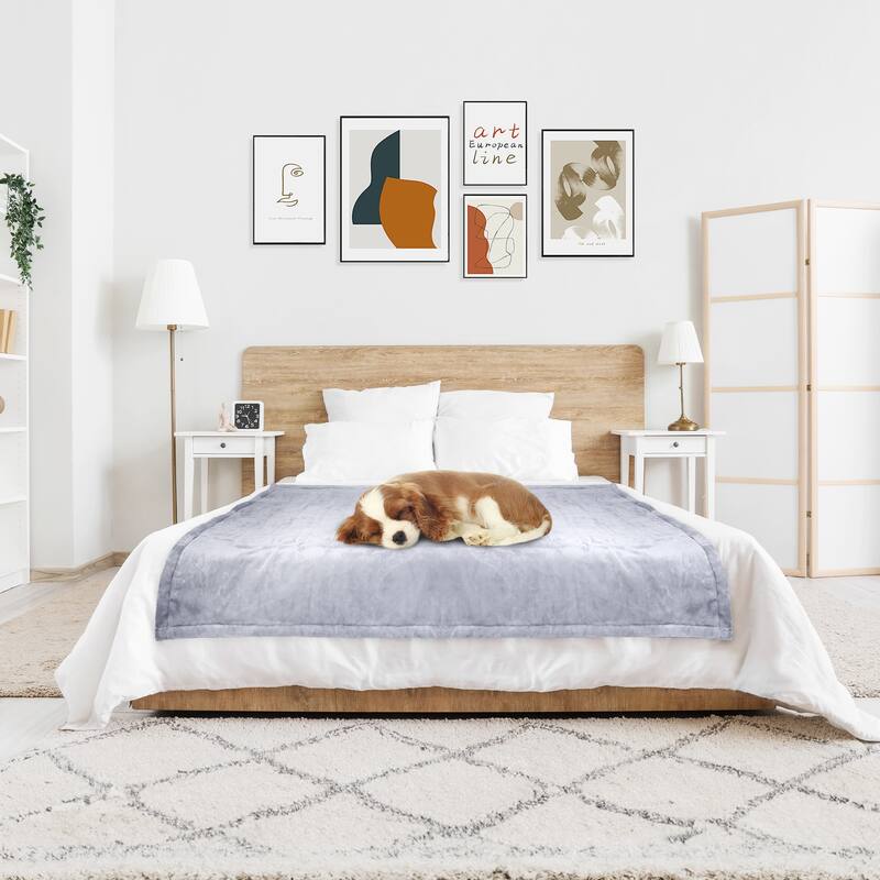 Reversible Flannel Electric Blanket, Heated Throw, Temperature and Timing Functions of a Controller