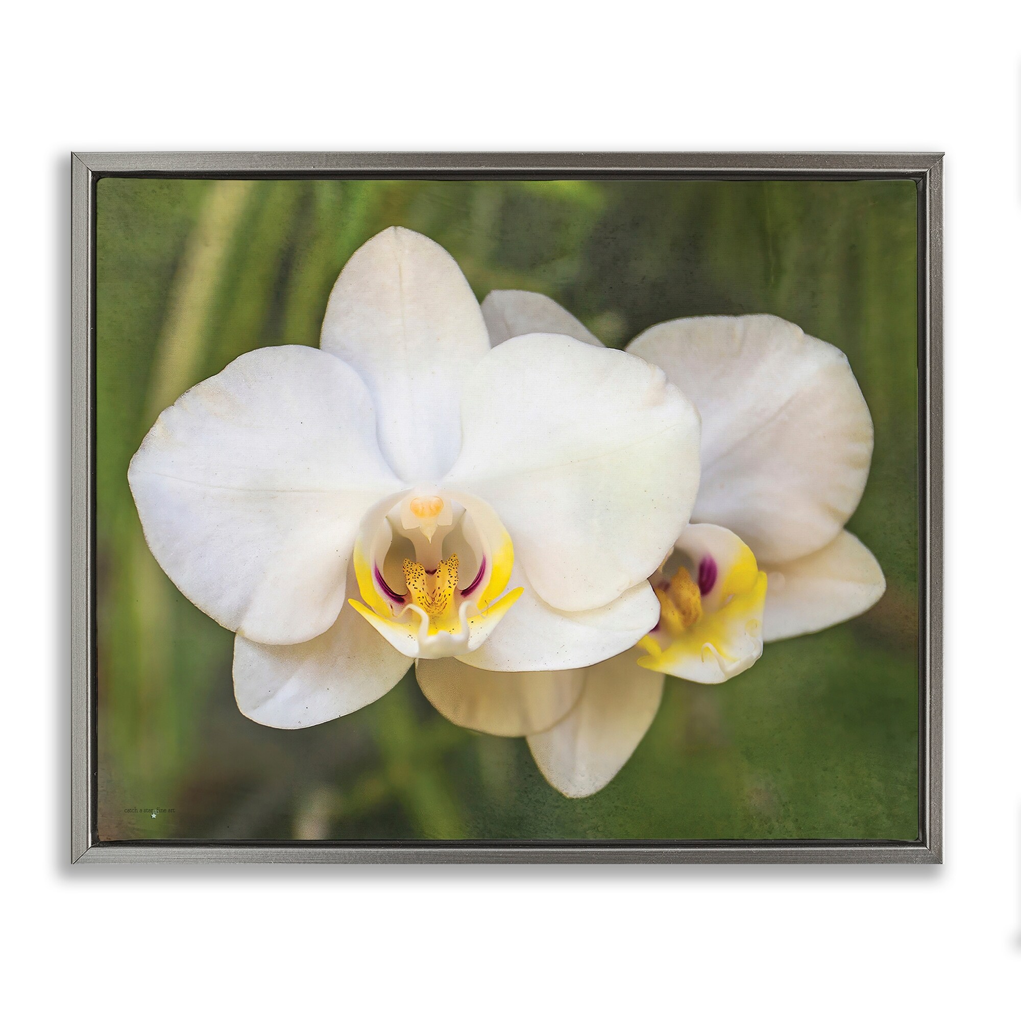 Stupell Orchid Blossom Glow Framed Floater Canvas Wall Art Design By Seven Trees Design