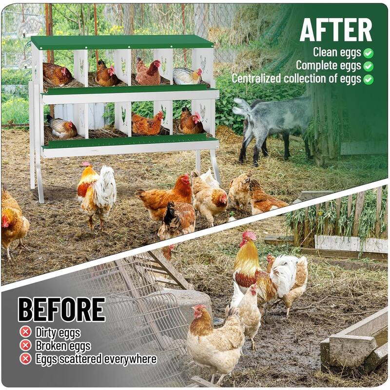 Wall-Mount or Free-Standing Metal Chicken Nesting Box for Hens, Green with Legs