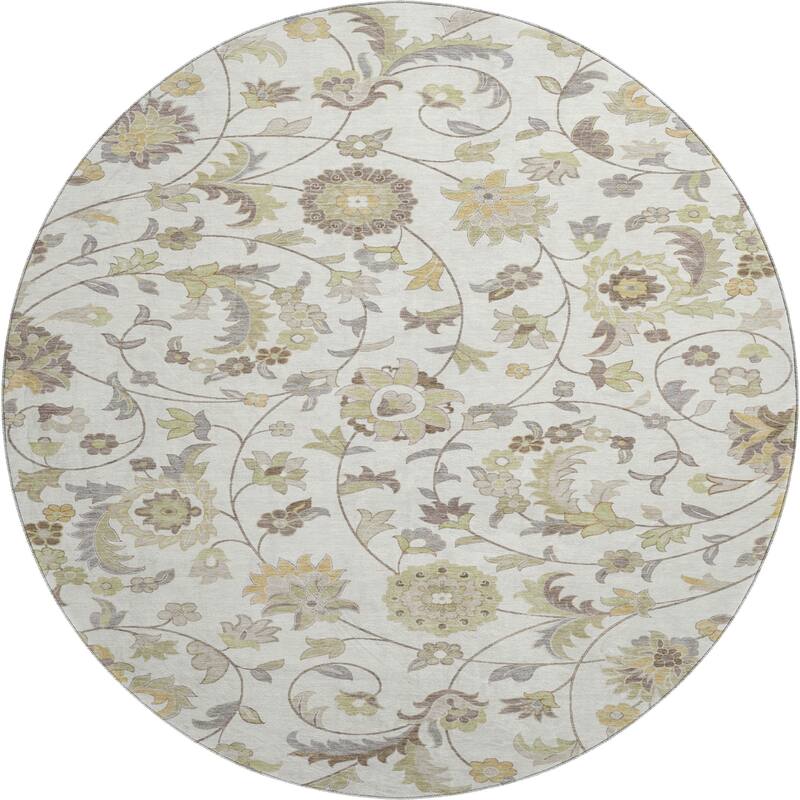 Premium Washable Super Soft Traditional Evie Mayfield Rug