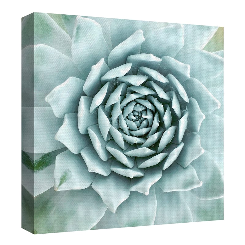 Desert Splendor by Belle Maison Canvas Art Print
