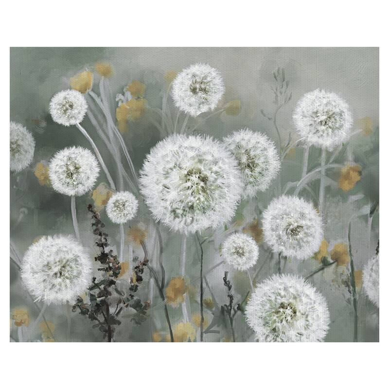 Wild Wishes by Studio Arts Canvas Art Print