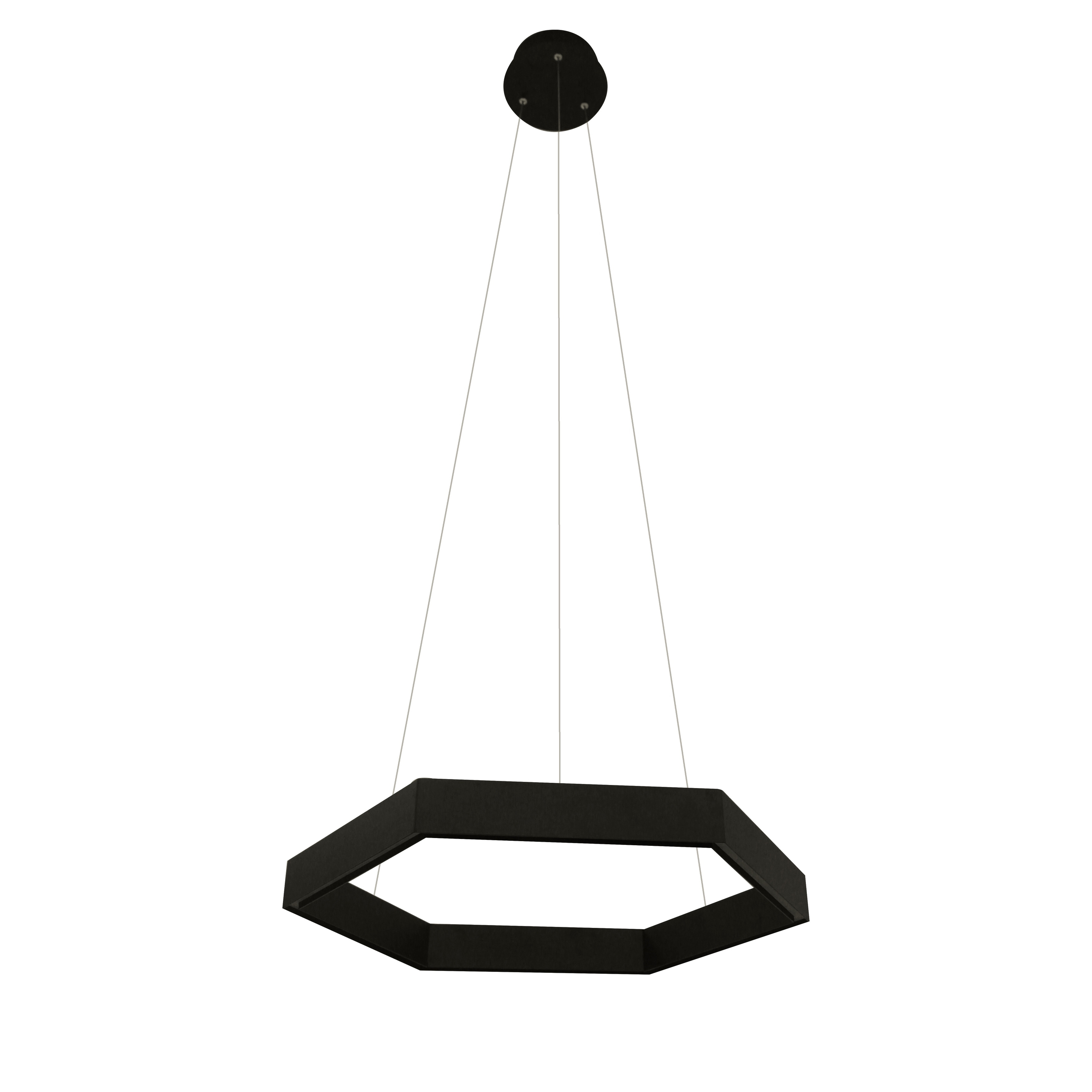 Modern 1-Light Black Metal and Acrylic Octagon Shaped Frame LED Light Fixture
