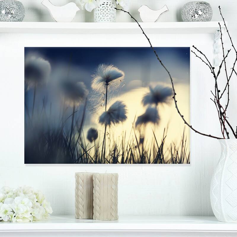 Designart "Arctic Blooming Cotton Flowers" Large Flower Canvas Wall Art - 20 in. wide x 12 in. high
