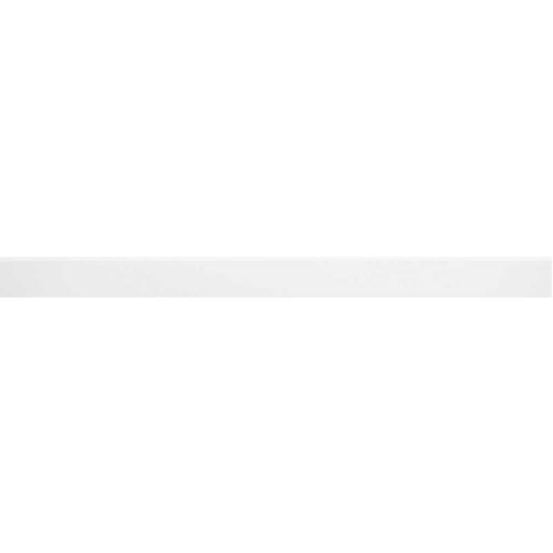 Penthouse 2in x 24in Porcelain Bullnose Wall Tile - Bianco - 2 x 24 - 1 Piece