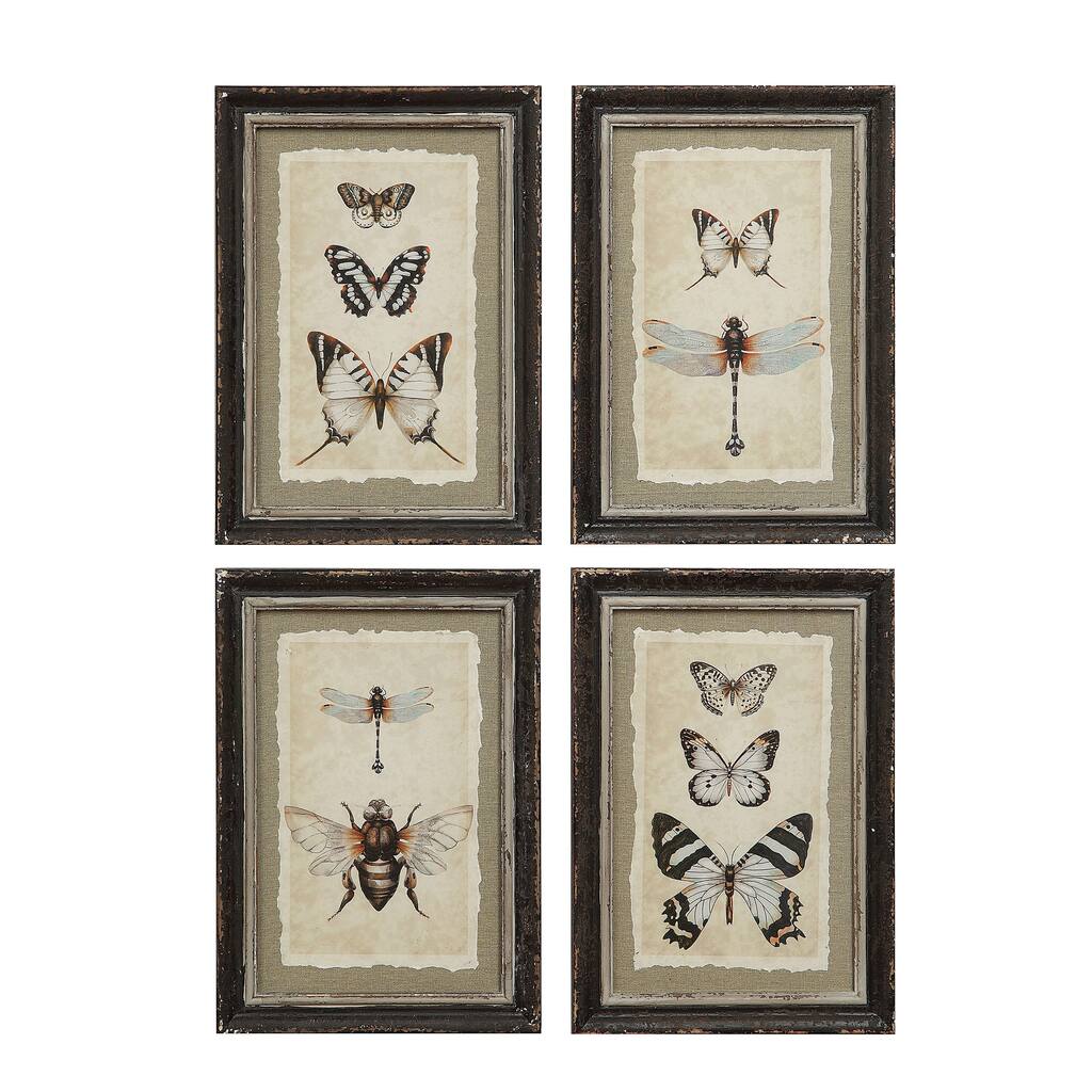 Wood Framed Vintage Insect Prints (Set of 4 Designs) - 9.5