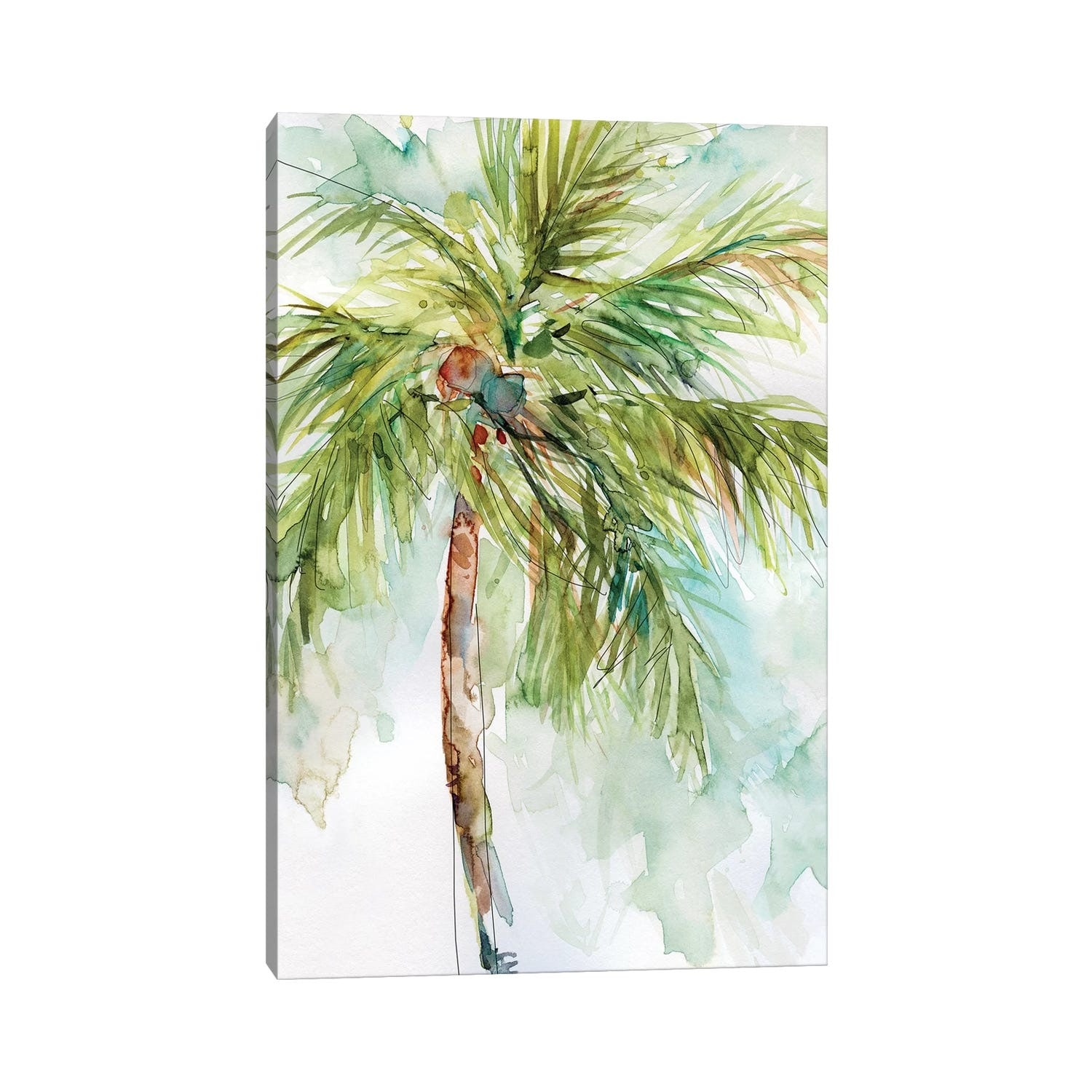 iCanvas "Palm Breezes I" by Carol Robinson Canvas Print