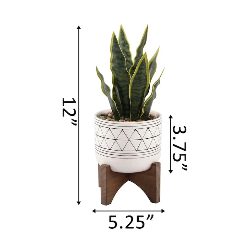 12" Artificial Snake Plant in Ceramic on Stand - ONE-SIZE