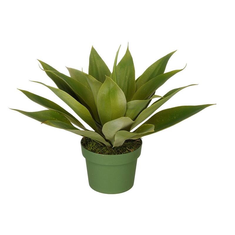 Faux Agave Succulent - Small