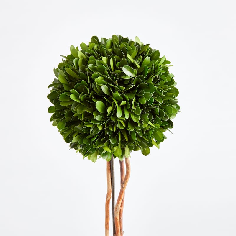 Single Sphere Topiary Drop-In 24"