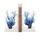 Option Blue - 4"W, 7"H