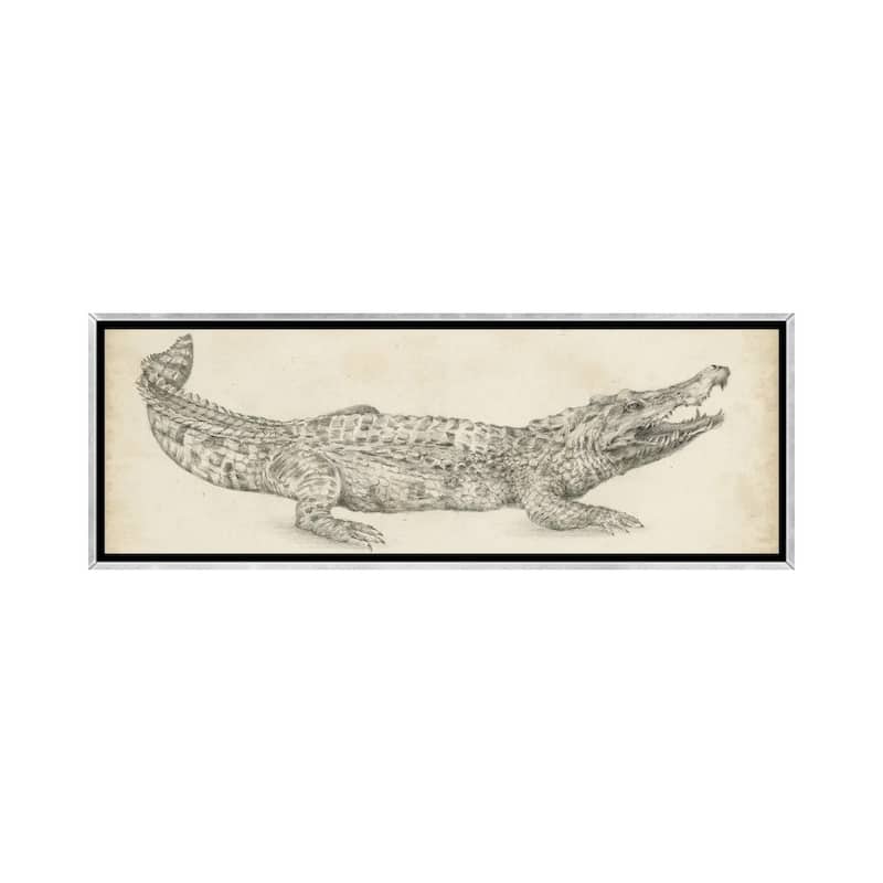 iCanvas "Crocodile Sketch" by Ethan Harper Framed