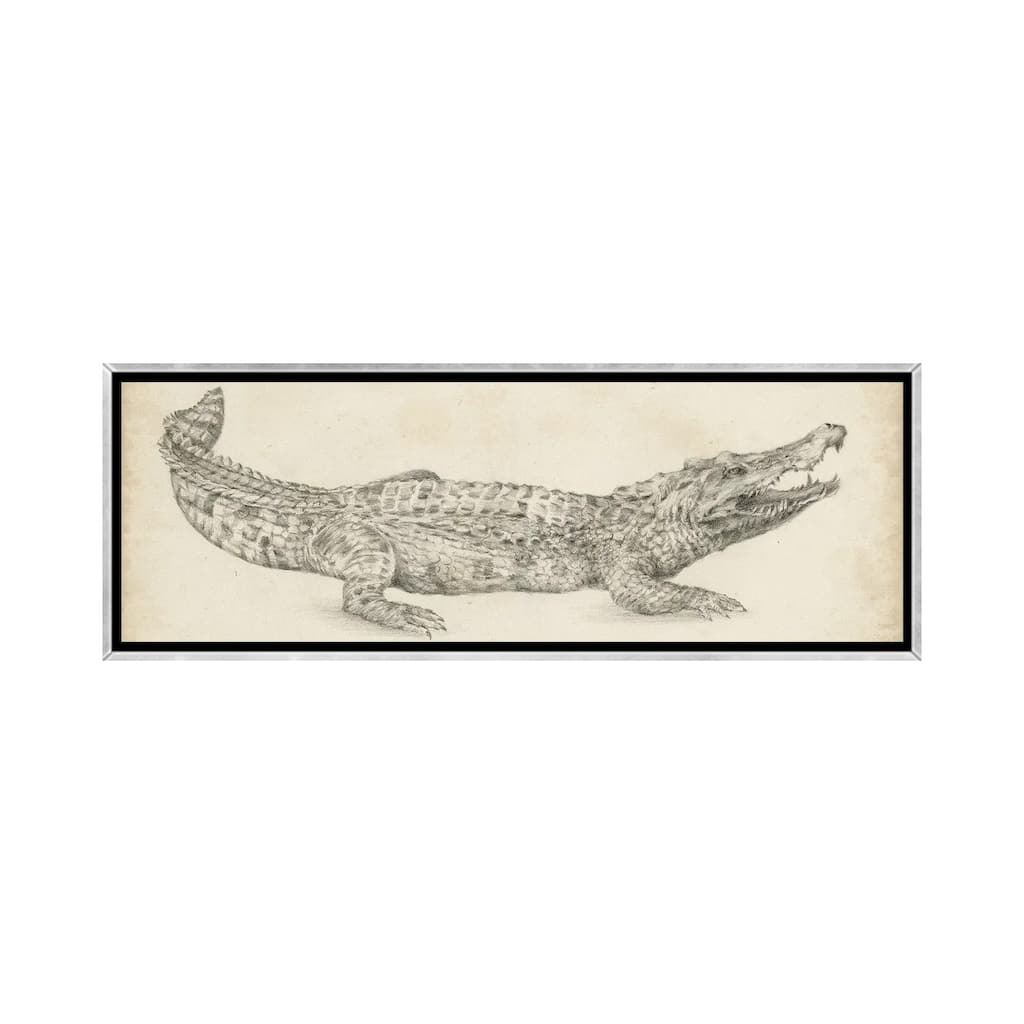 iCanvas "Crocodile Sketch" by Ethan Harper Framed