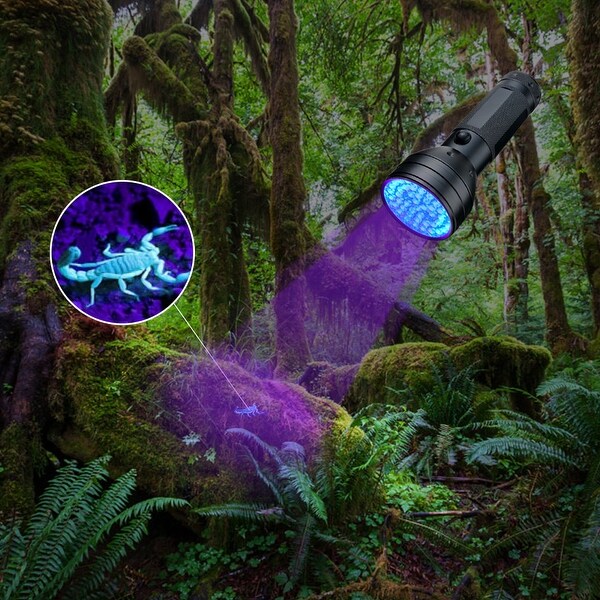 Uv black light store flashlight near me