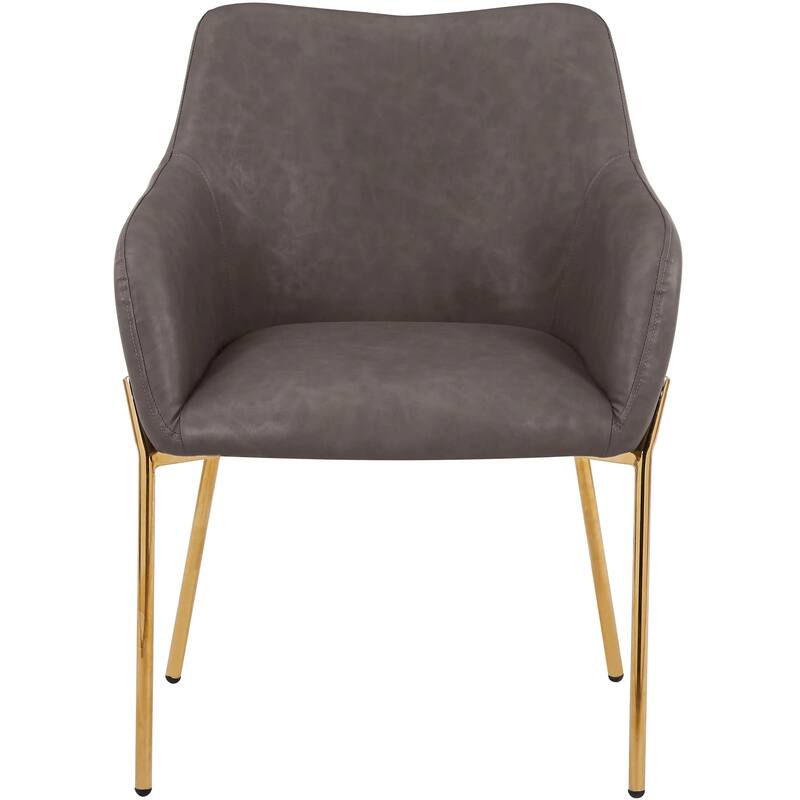 Zaire Upholstered Dining Chair in Velvet/Leather/Boucle with Gold Chrome Iron Set of 2