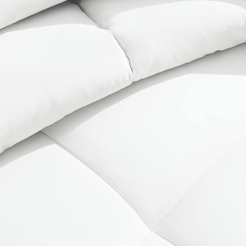 Ivy Union Microfiber Comforter Set