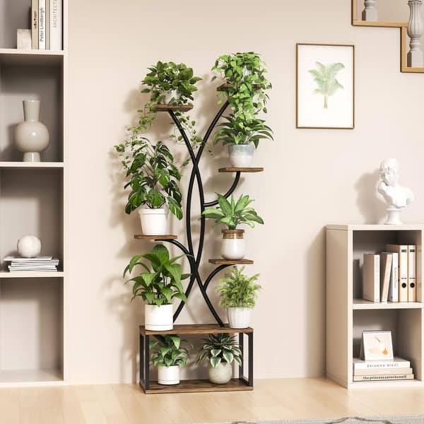 black jade rose plant Black Jade Juice Rose Plant|黑玉果汁 – Rose_Explosion