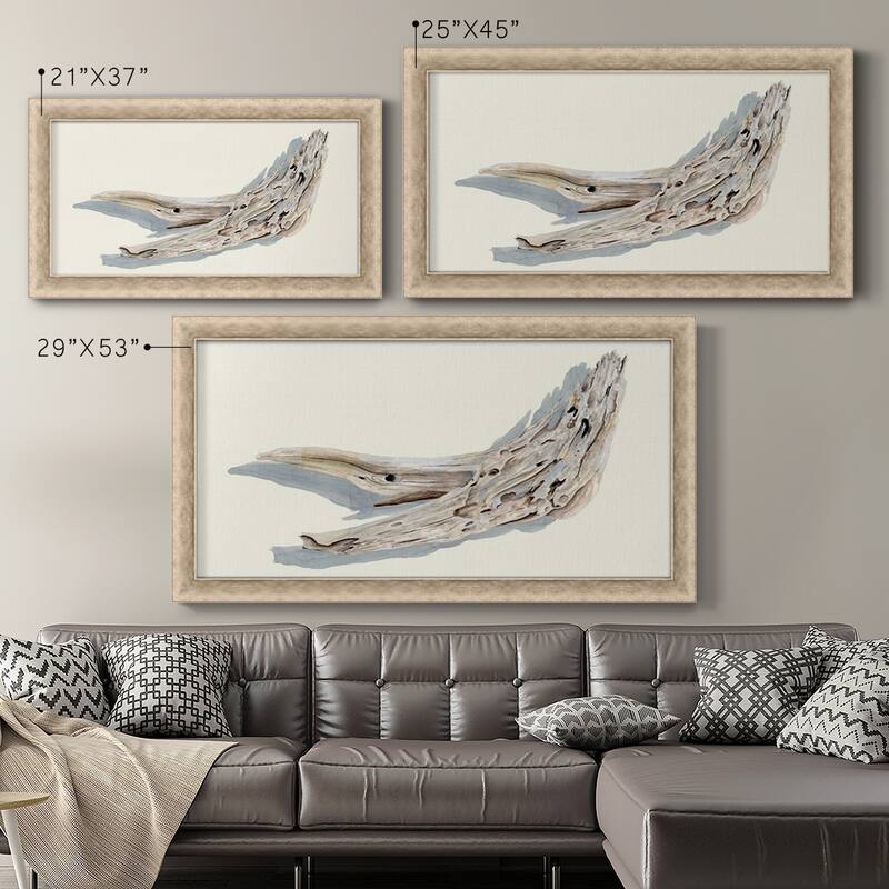 Driftwood Study III Premium Framed Canvas- Ready to Hang
