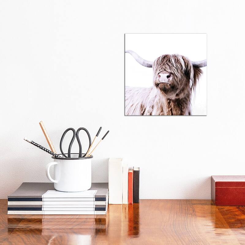 iCanvas "Highland Cattle Frida I Square" by Monika Strigel Canvas Print - 12x12x0.75