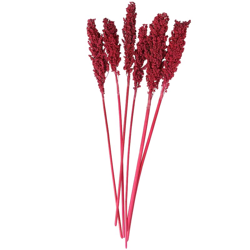 Pink Dried Plant Corn Maze Home Decor Natural Foliage with Long Stems