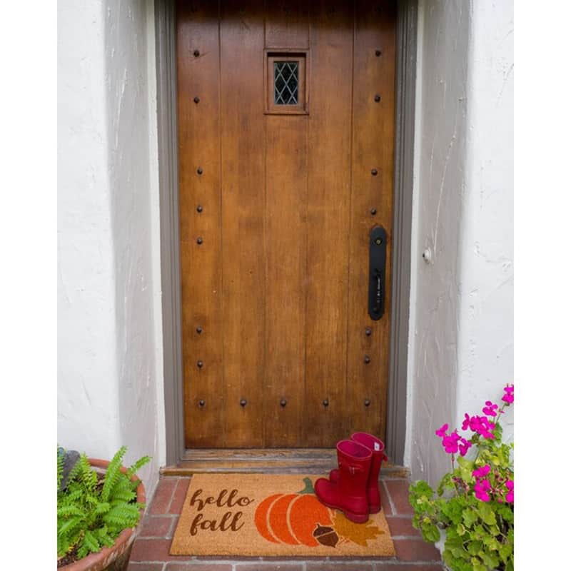Theia 30 in. x 17 in. Non-Slip Indoor/Outdoor Door Mat