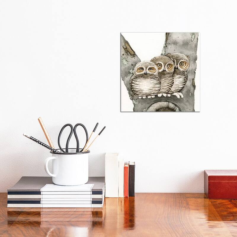 iCanvas "Three Owls" by Tracy Lizotte Canvas Print - 12x12x1.5