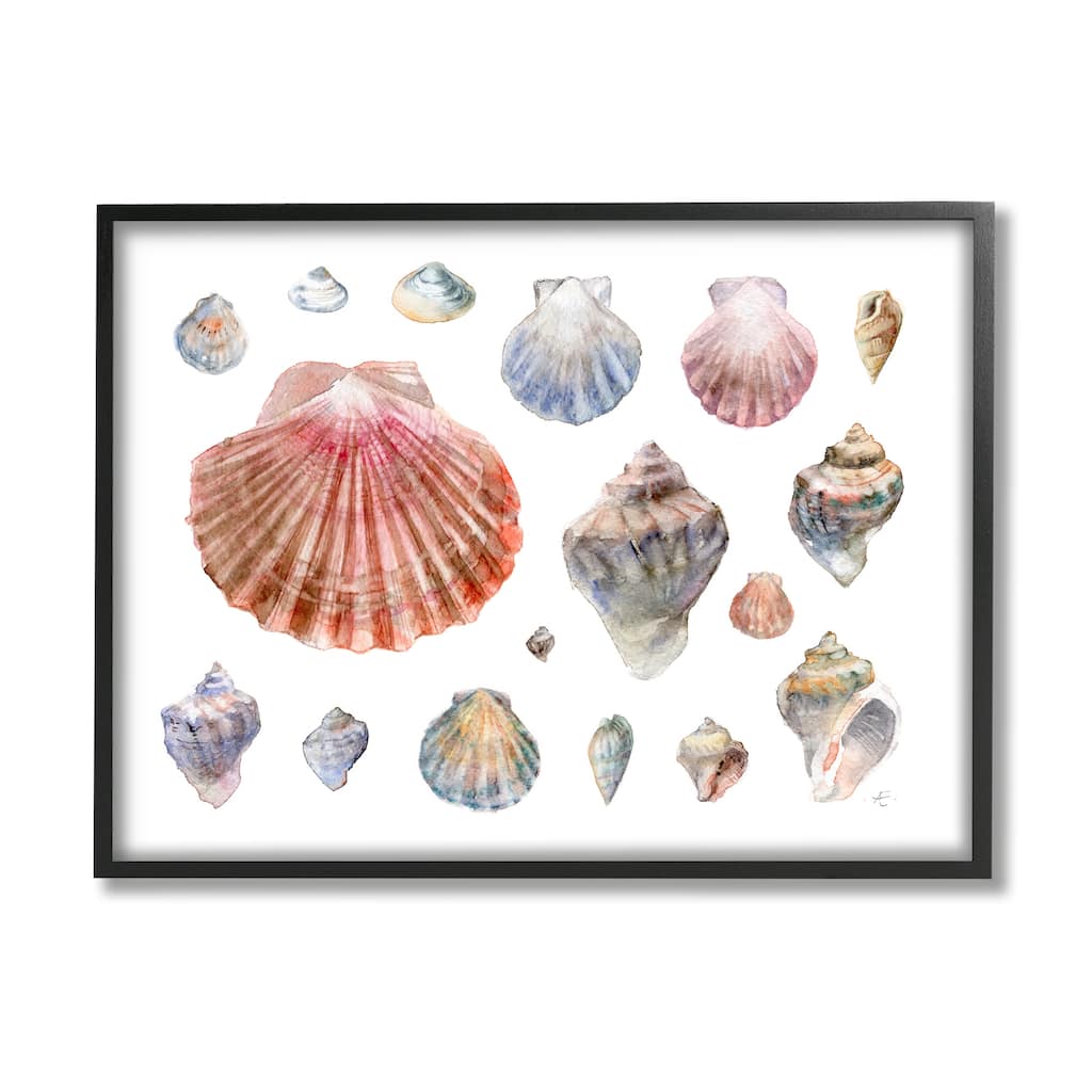 Stupell Nautical Shell Watercolor Study Patterned Aquatic Life Framed Wall Art - Multi-Color
