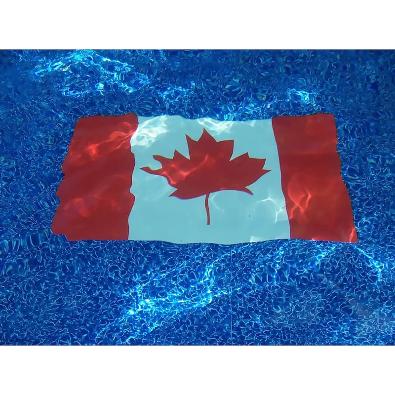 Dolphin Decorative Pool Mat - Pool Art
