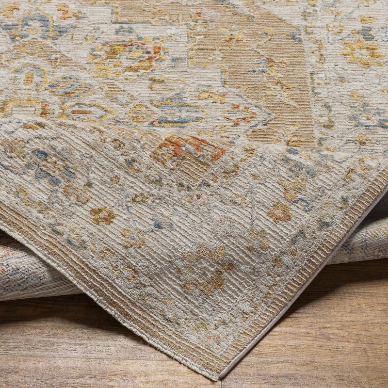 Tereza Updated Traditional Medallion Area Rug