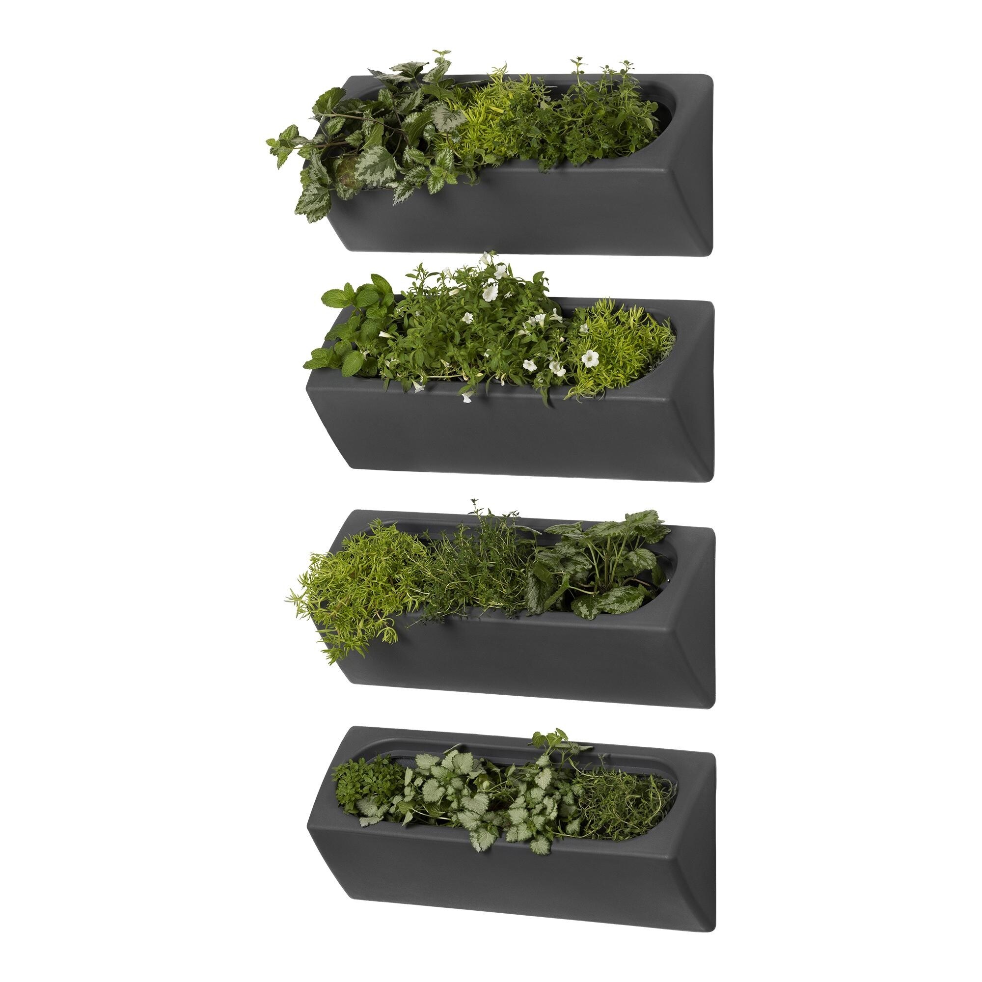 South-Shore-Dalya-Outdoor-Wall