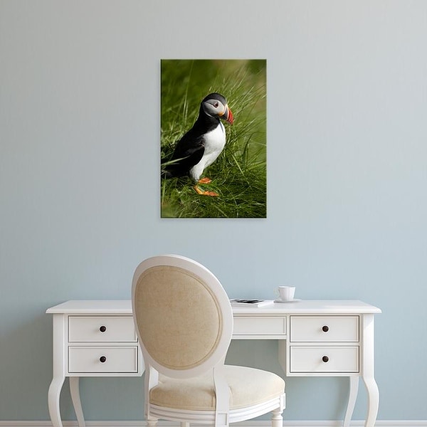 Easy Art Prints David Wall's 'Puffin I' Premium Canvas Art