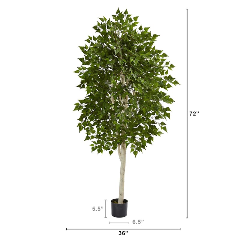Artificial Birch Tree 6ft - Realistic Indoor Tree Decor - 72" Tall - Home Office Living Room Accent - Green - 61 Inches and Over