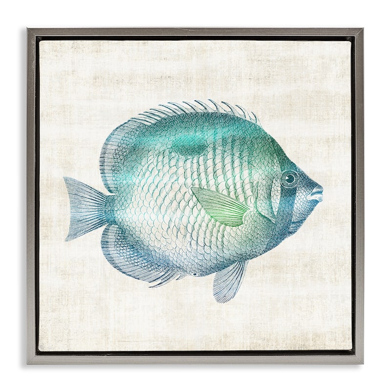 Stupell Fish Impression Sea Life Framed Floater Canvas Wall Art Design By Susan Arnot - 25 x 25 - Grey