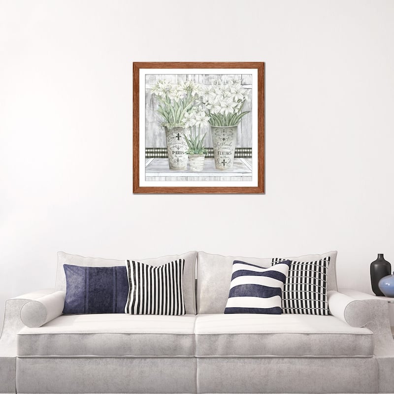 iCanvas "Amaryllis Multi Pots" by Cindy Jacobs